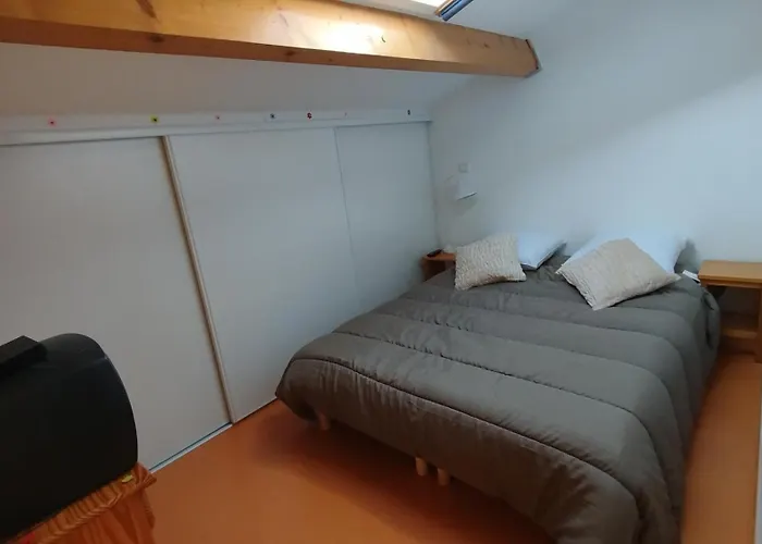 Spot Evasion بيت للعطل